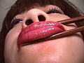 Gallery 27