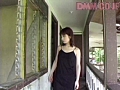 Gallery 12