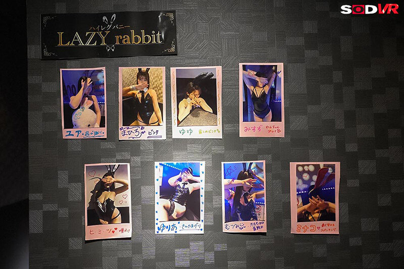 Gallery 6