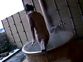 Gallery 20