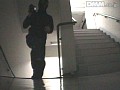 Gallery 27