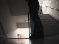 Gallery 7