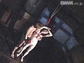 Gallery 0