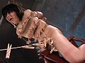 Gallery 29