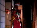 Gallery 6