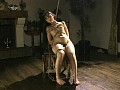 Gallery 26