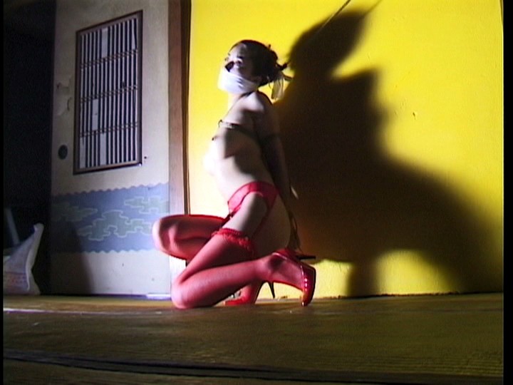 Gallery 6