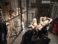 Gallery 14