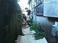 Gallery 29