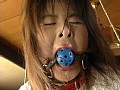 Gallery 21