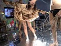 Gallery 27