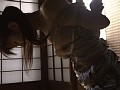 Gallery 21