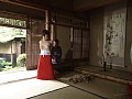 Gallery 7