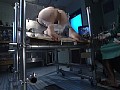Gallery 25