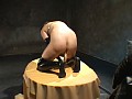 Gallery 16