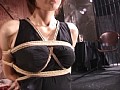 Gallery 0
