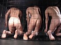 Gallery 2
