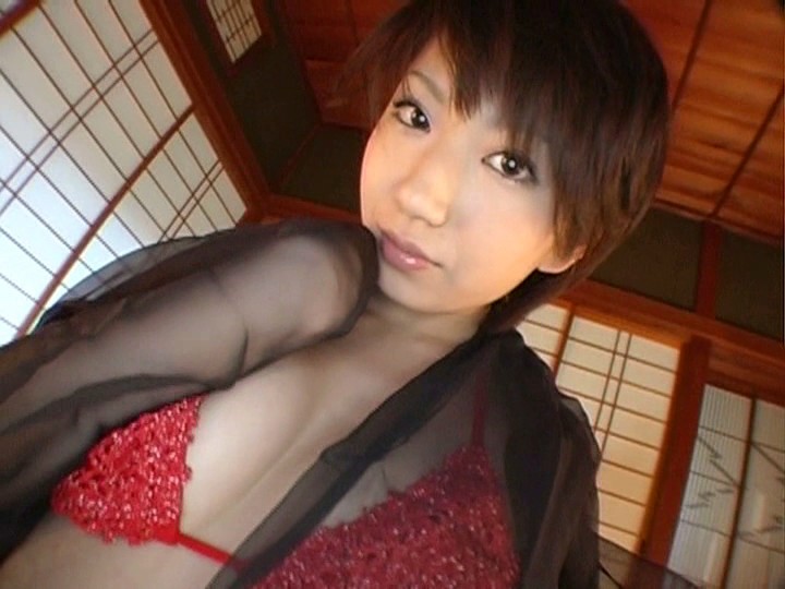 Gallery 11
