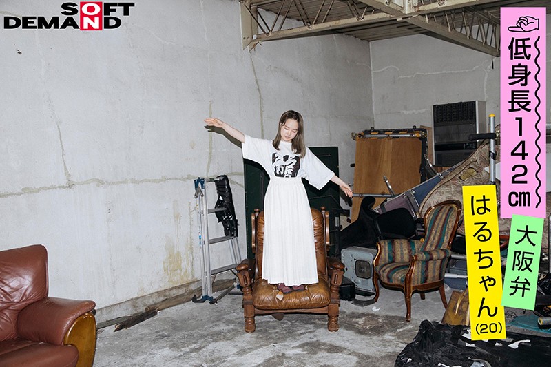 Gallery 2