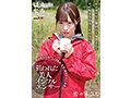 Gallery 0