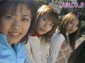 Gallery 0