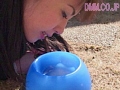 Gallery 8