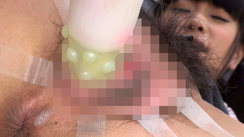 Gallery 8