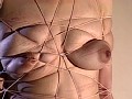Gallery 29