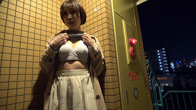 Gallery 13