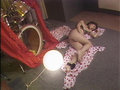 Gallery 7