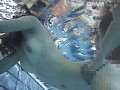 Gallery 15