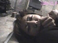 Gallery 29