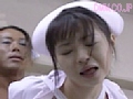 Gallery 20