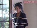 Gallery 0
