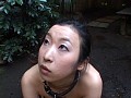 Gallery 11