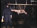 Gallery 14
