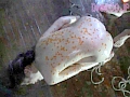Gallery 2