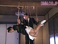 Gallery 4