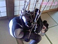Gallery 8