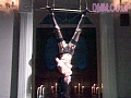 Gallery 6