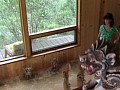 Gallery 0