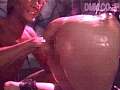 Gallery 20