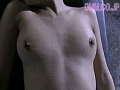 Gallery 41