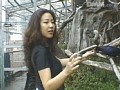 Gallery 0