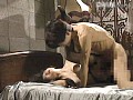 Gallery 15