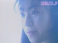 Gallery 0