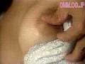Gallery 0