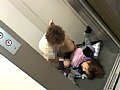 Gallery 20