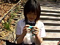 Gallery 0