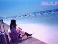 Gallery 0